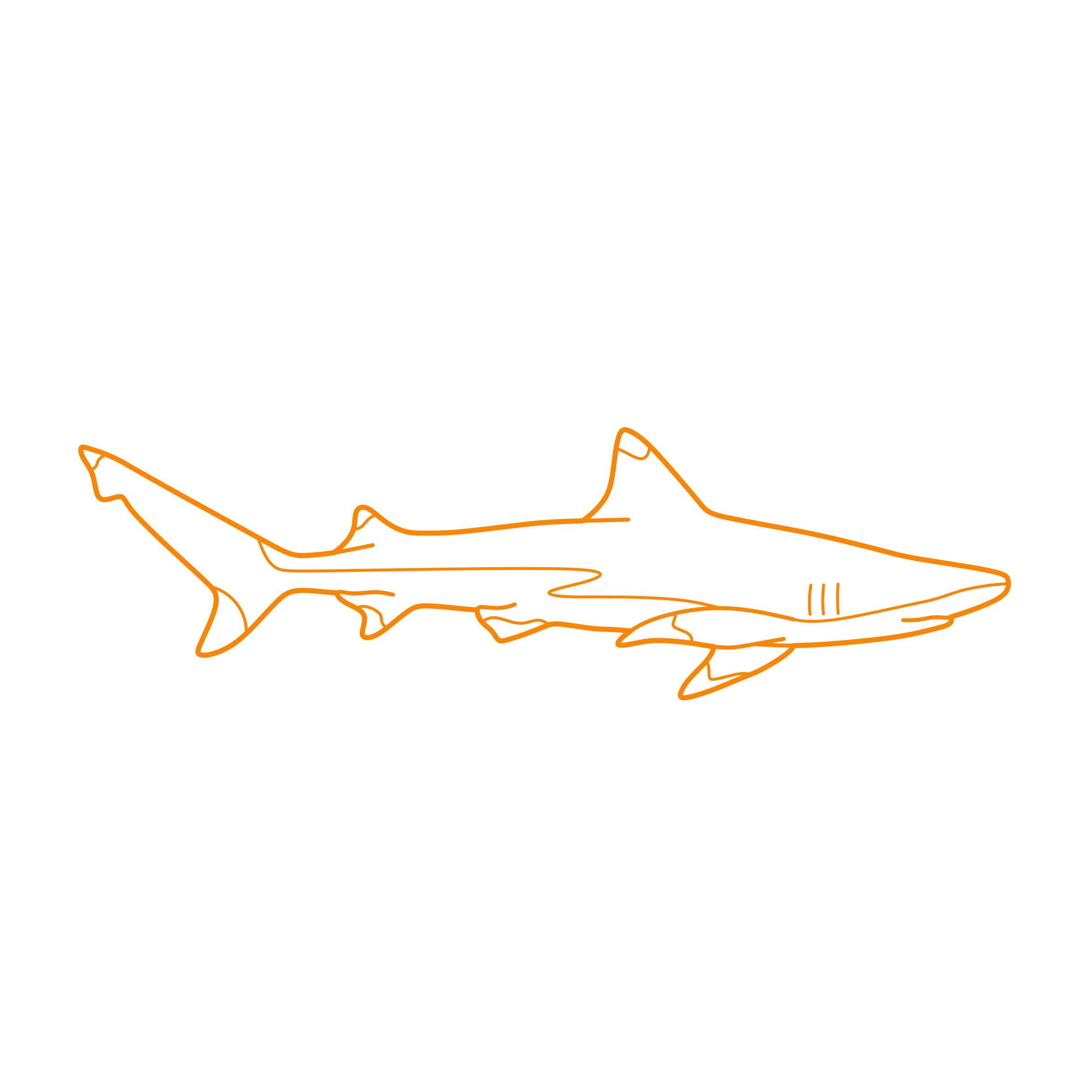 Animals Sharks Blacktip Shark Craft Design Svg File Free Vectors